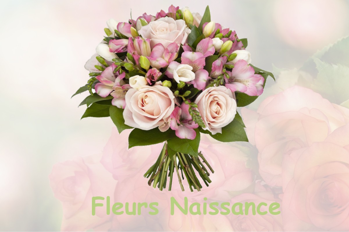 fleurs naissance MARSANEIX